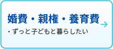 離婚・親権・養育費
・ずっと子どもと暮らしたい