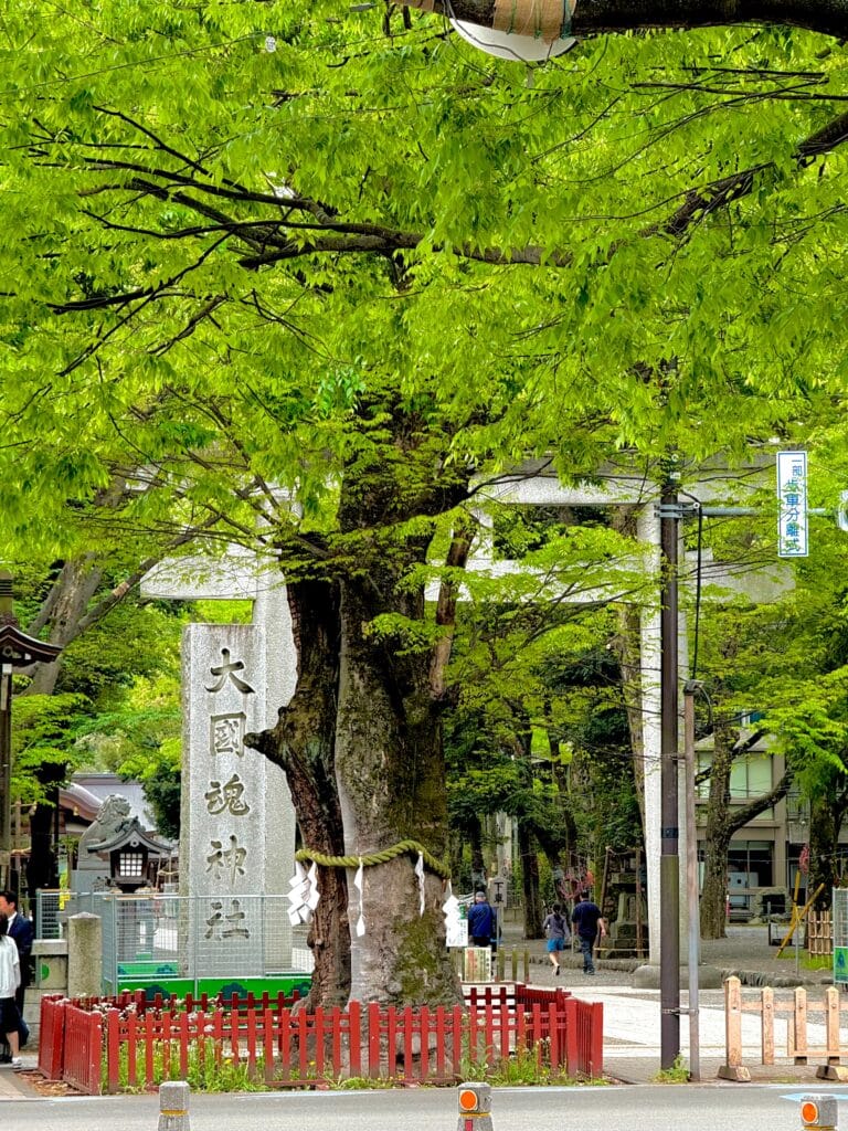 S__39862305 - 府中市 弁護士法人あさかぜ法律事務所 当事務所では、相続・事故・借金・離婚に関するお悩みに対し無料法律相談をお受けしております。府中市弁護士法人あさかぜ法律事務所